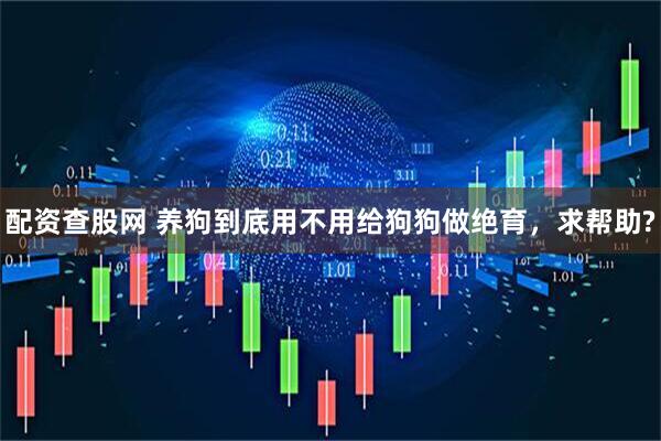 配资查股网 养狗到底用不用给狗狗做绝育，求帮助?