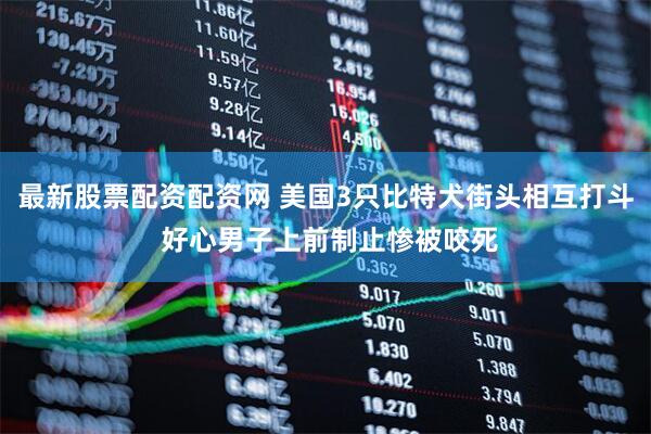 最新股票配资配资网 美国3只比特犬街头相互打斗 好心男子上前制止惨被咬死